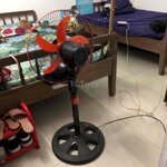 Tìm 1 bạn nữ ở ghép
