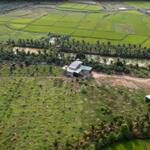 Cực hiếm chính chủ bán đất tại xã diên bình – huyện đăk tô – kon tum