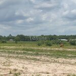 Bán 1.2 mẫu đất xã thạnh tân gần cho thuêy xnk hàn lâm