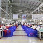 Cho thuê kho - xưởng 250m mới xây -hòa khánh bắc