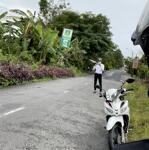 Cô nam bán đất bao rẻ