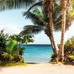 đất mặt tiền cách sân bay phan thiết 5km giá sốc