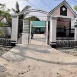 Bán nhà + dãy trọ lộ tẻ cây cóc