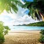 đất đẹp huỳnh thúc kháng, ven biển mũi né