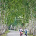 Cặp nền đường mỹ á