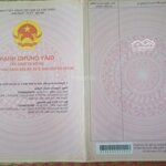 Chính chủ kẹt tiền kd bán thu hồi vốn lô nhà đất thổ cư shr x. an thạnh trung chợ mới ag 1,05 tỷ