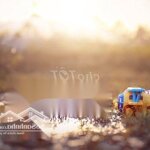 đất vườn cho thuê - điện biên