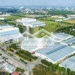 Chủ cần chuyển nhượng 12000m kho xưởng kcn hòa cầm