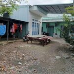 Cho thuê phòng trọ giá rẻ 1 triệu2