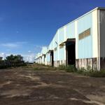 Cho thuê kho xưởng mt ql 19, hàm rồng, pleiku, gia lai. dt 8000m2-16.000m2
