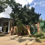 Cho thuê đất trống đường tôn đức thắng phường tân lợi