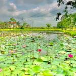 Đất Điện Tiến View Hồ Sen Giá Bán 600 Triệu