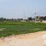 Cho thuê gấp quỹ đất đẹp, mặt tiền đường đào sư tích, nhà bè. giá thuê: 75 triệu/th. lh: 0907394466