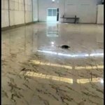 Cho thuê nhà xưởng 650m2 hóc môn