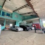 Kho đường đào tông nguyên 500-1000m giá 40tr