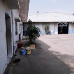 Cho thuê xưởng ở bình chánh diện tích 6000m2. nhà xưởng xây dựng và văn phòng, lh 0974351079