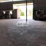 Kho rộng 400m² giá siêu rẻ 25k/m², thua thuê đất