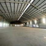 Cho thuê kho xưởng 2000m2, 5000m2, 8000m2, 14000m2 đường trần đại nghĩa, h. bình chánh, tp hcm