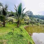 đất thích hợp làm farm, homestay gần 20.000m2 - hương thọ