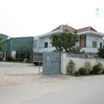 Cho thuê 6500m2 kho xưởng+vp đường quốc lộ 1a,phường an phú đông