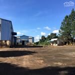 Cho thuê kho xưởng mt ql 19, hàm rồng, pleiku, gia lai. dt kho 8000m2-16.000m2