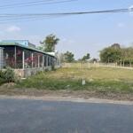 5*19-gần kcn-khu dân cư đông-đg ô tô-435tr- gò dầu tây ninh