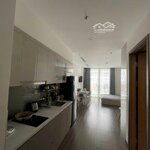 Cho thuê lâu dài căn studio full đồ mới, tầng cao dự án vinhomes symphony riverside