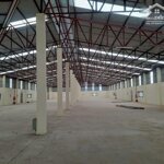 Cho thuê kho xưởng 300 - 3000m2 tại linh xuân, tp. thủ đức.