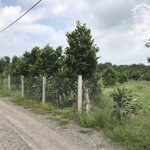 Bán đất vườn xã túc trưng huyện định quán tỉnh đồng nai