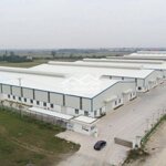 Cho thuê nhà xưởng 6600m2 tại hưng yên