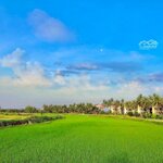 Bán đất view lúa và view sông cẩm châu tại hội an. chỉ 3,8 tỷ đã sở hữu gần 400m2 đất