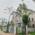 Bán biệt thự song lập 135m2 tại centa city giá rẻ nhất thị trường