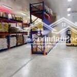 Cho thuê kho mặt tiền 700m2 lê thị bạch cát phường 11 quận 11