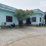 Cho thuê nhà xưởng 4000m2, pccc tự động, tại đông thạnh, hóc môn