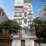 Cho thuê mbkd và văn phòng phố nguyễn khánh toàn - quan hoa 120m2 mt 8,5m