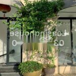 Cho thuê mặt bằng shophouse the manor giá siêu rẻ