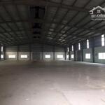 Cho thuê kho - xưởng. dt từ: 1000m2, 1500m2, 2000m2,... đến 200.000m2 tại mỹ hào - hưng yên