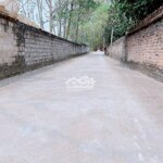 Bán Lô Đất Thị Trấn Thắng Hiệp Hòa Bắc Giang Chỉ 480 Triệu