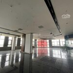 Bán sàn thương mại roman plaza tố hữu diện tích đa dạng 148 280m2 chỉ từ 29 triệu/m2 kinh doanh tốt