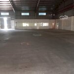 Cho thuê kho, nhà xưởng 1100m2 - 6500m2 kcn dệt may nhơn trạch