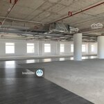 Update tòa nhà cho thuê vp trống 200-500m2 cho team khoảng từ 40 nhân sự tại q. thanh khê -mizuland