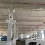 Cho thuê xưởng sản xuất 10.500m2 tại kcn thuận thành 2, bắc ninh