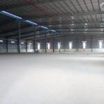 Cho thuê kho, nhà xưởng 5700m2-8000m2-14000m2 kcn nhơn trạch 1