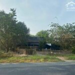 1,3ha đất mt 818 cách ql n2 5km