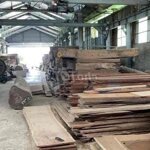 Xưởng cưa gỗ 1.712 m2 lộ giới 6m