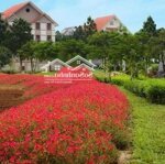 Bán lô đất biệt thự the phoenix garden - giá bán nhanh