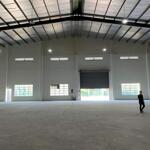 Cho thuê kho, nhà xưởng 1250m2-2500m2 kcn cát lái, quận 2