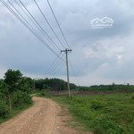 Bán 1 mẫu đất đường xe công điện 3 pha xã xuân trường huyện xuân lộc, đồng nai chỉ 2,9 tỷ