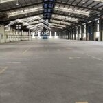 Cho thuê kho xưởng 4800m2, 6200m2, 10.000m2, 20.000m2 tại bình sơn, long thành, đồng nai