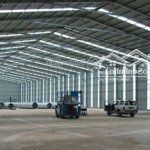 Cho thuê đất, kho xưởngmặt tiềnql1a, 3000m2, 55 triệu/th, xã hòa châu, h. hòa vang